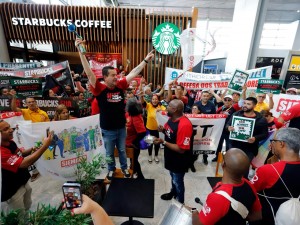 WhatsApp Image 2025-12-11 at 13.40.15 (3)